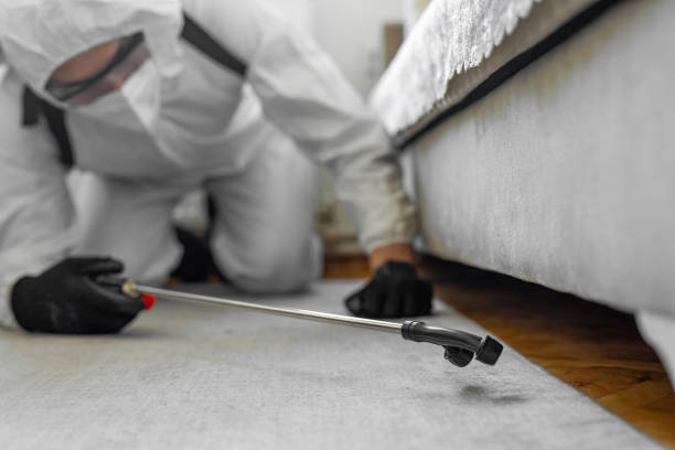 Professional Bed Bug Control technician working in Munsey Park, NY
