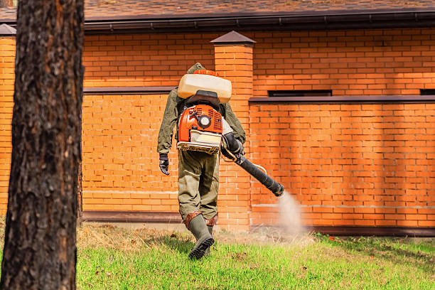 Trusted Mosquito Control service in Munsey Park, NY - Nex Pest Control